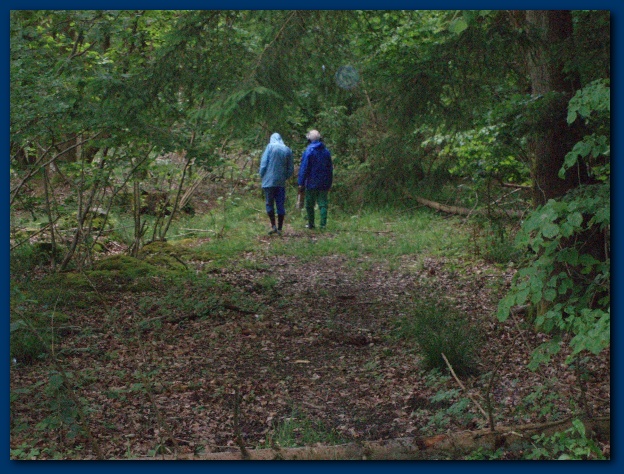 600x449 pixels (175K)